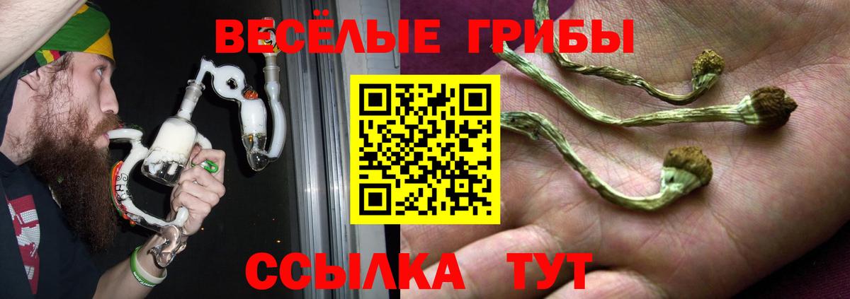 Псилоцибиновые грибы Psilocybe Ростов Великий