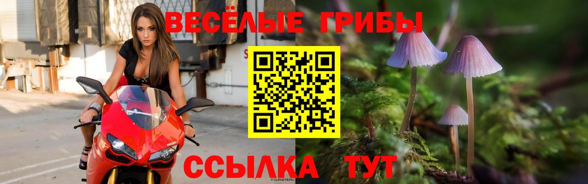 Ростов Великий  Псилоцибиновые грибы Psilocybe  Псилоцибиновые грибы Psilocybine cubensis  Вход с VPN 